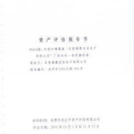 資產(chǎn)評估報(bào)告